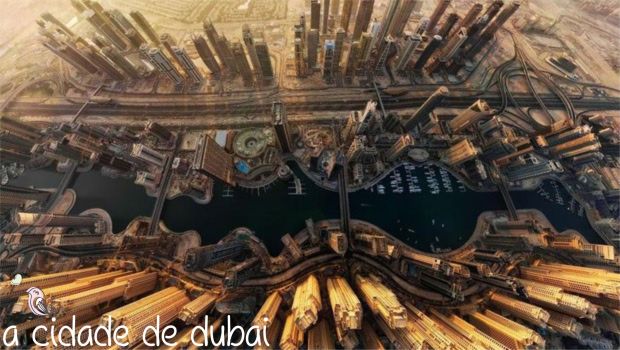 gcom_fotografia_visao_passaro_05