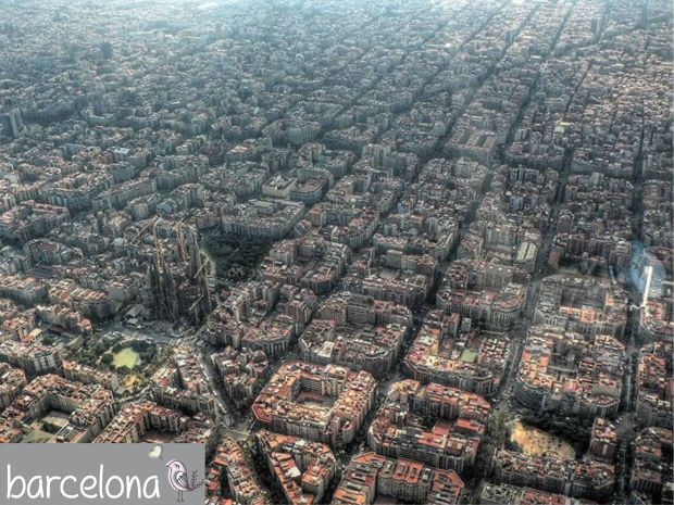 gcom_fotografia_visao_passaro_06