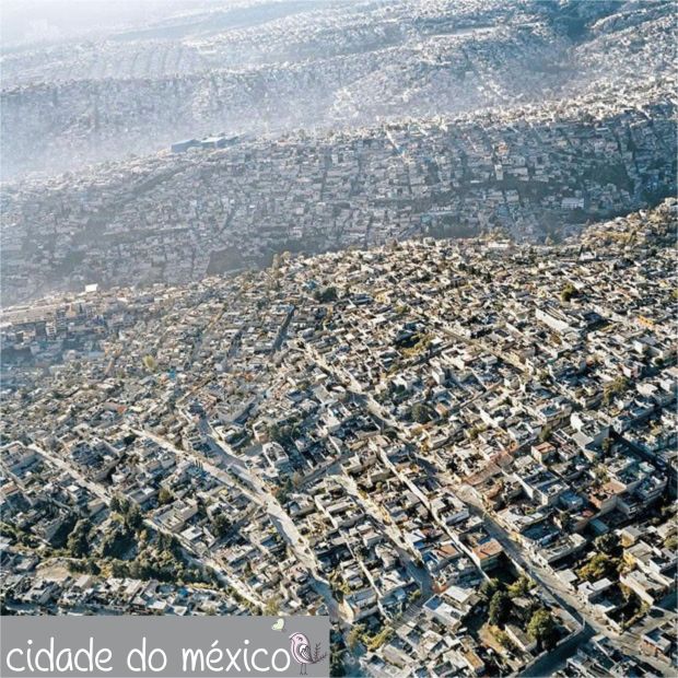 gcom_fotografia_visao_passaro_10