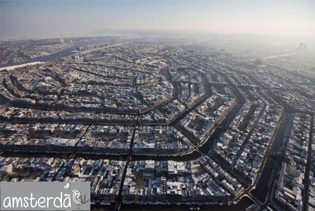 gcom_fotografia_visao_passaro_12