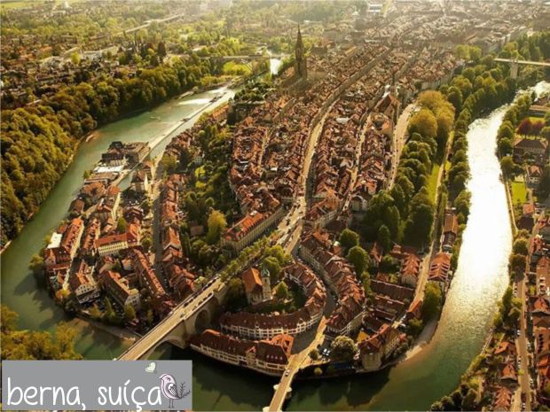 gcom_fotografia_visao_passaro_14