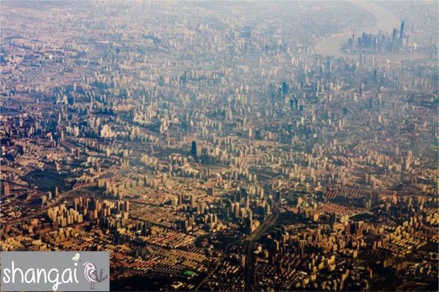 gcom_fotografia_visao_passaro_16