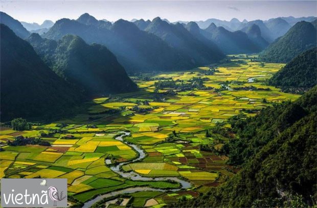 gcom_fotografia_visao_passaro_18