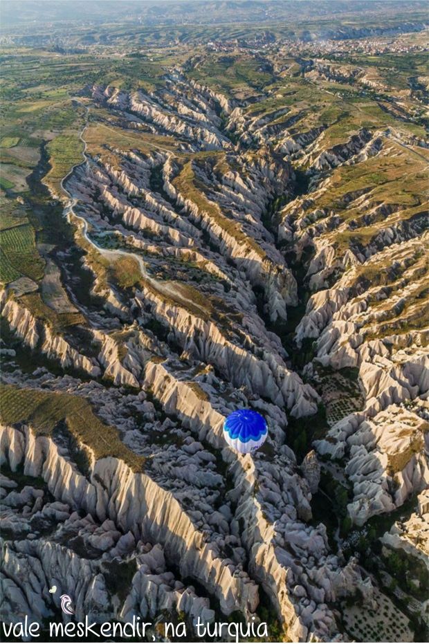 gcom_fotografia_visao_passaro_19