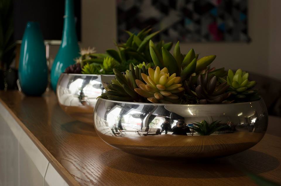 13512148_743028595837415_5026606522691037132_n