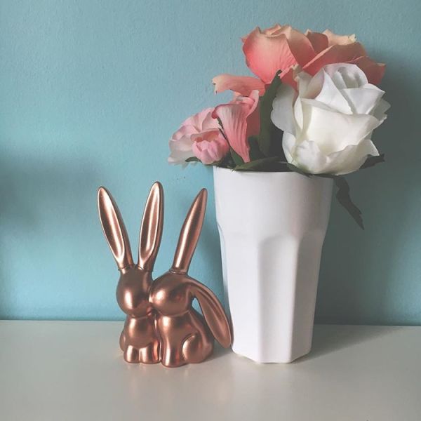 12907205_991838987598957_1698282407_n