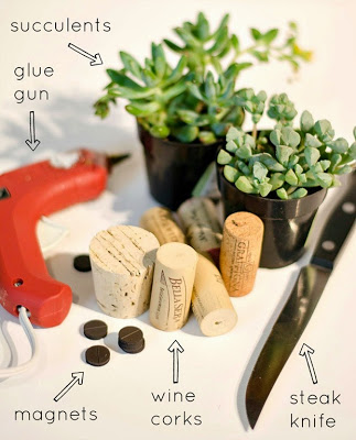wine-cork-as-magnet-planter-step-2